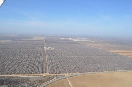 A Trip to the Almonds in California Image